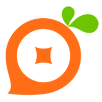 实用派